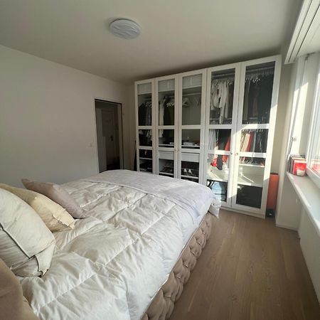 Best Located & Fully Equipped Apartment At Basel Sbb Main Station Dış mekan fotoğraf