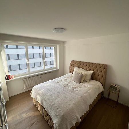 Best Located & Fully Equipped Apartment At Basel Sbb Main Station Dış mekan fotoğraf