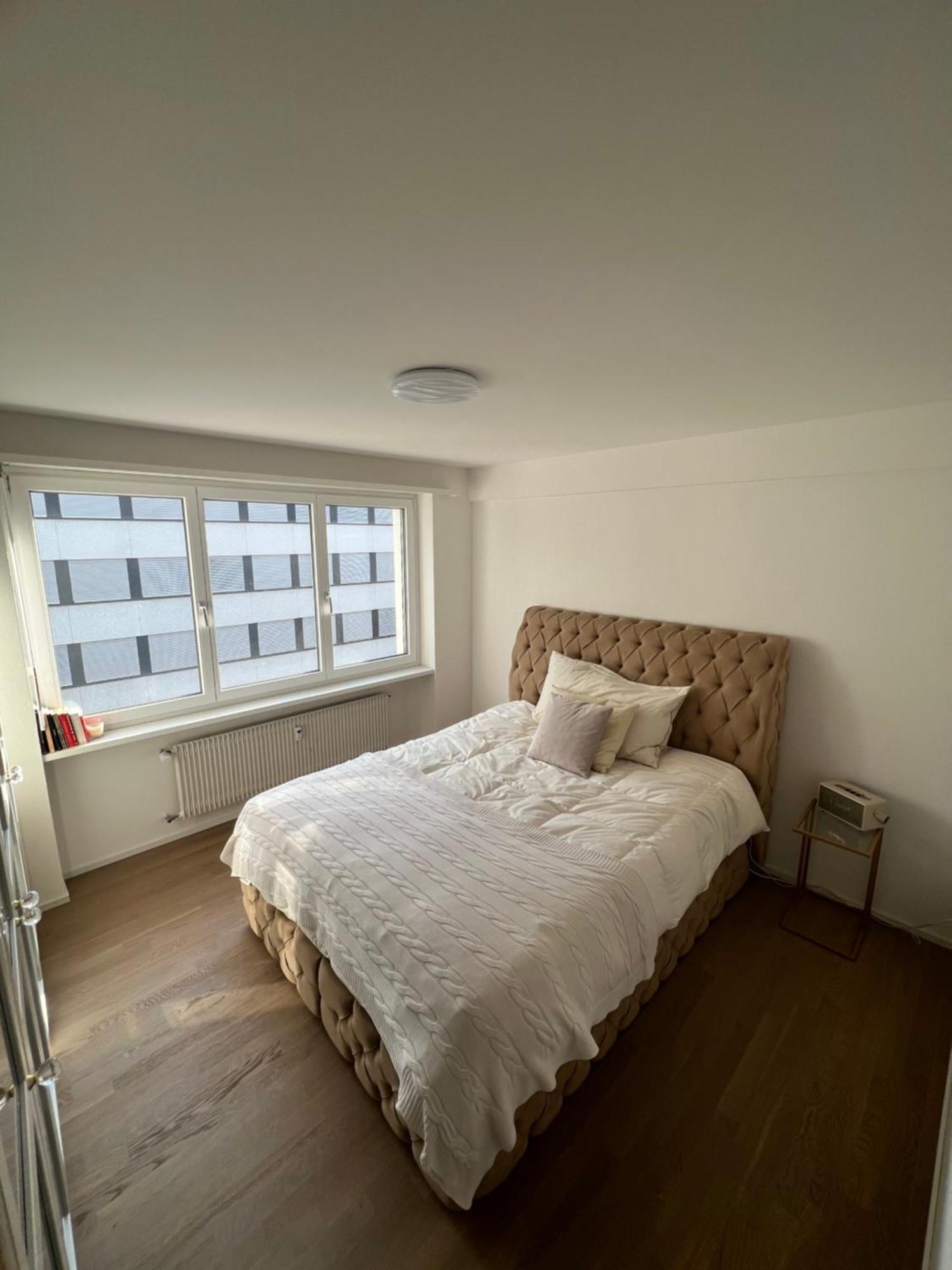 Best Located & Fully Equipped Apartment At Basel Sbb Main Station Dış mekan fotoğraf